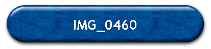 IMG_0460